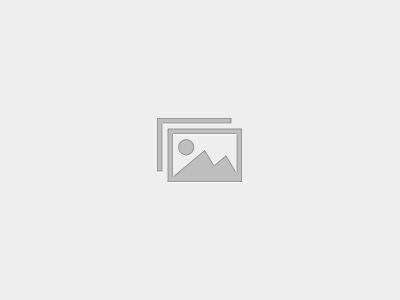 Human Resource Templates and Dashboard